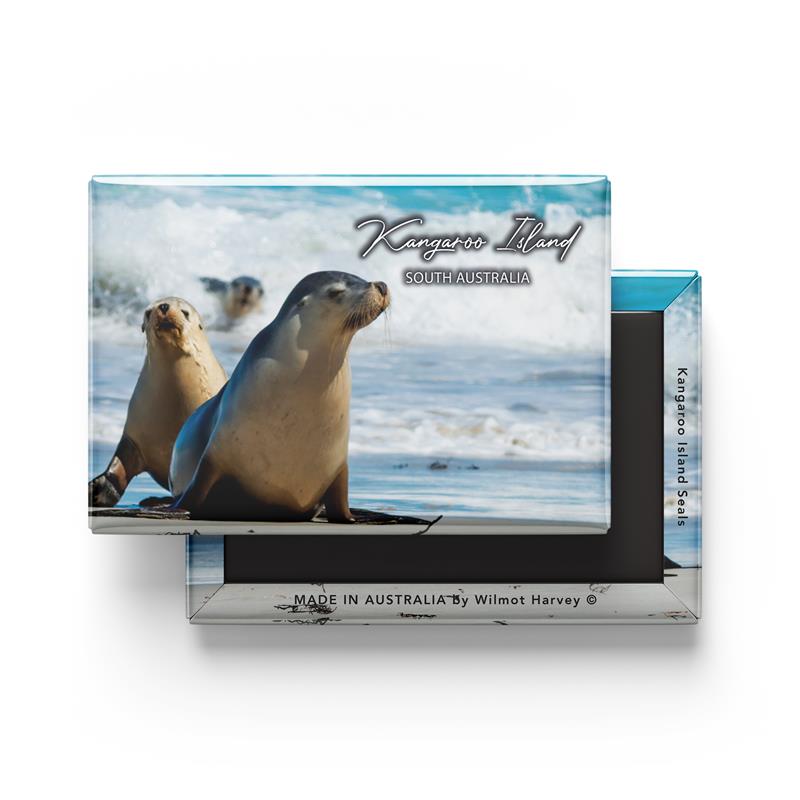 Tin Fridge Magnet - Kangaroo Island Seals