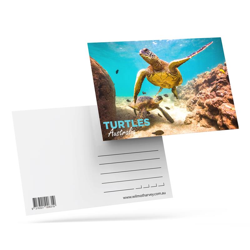 3D Postcard - Turtle