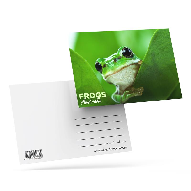 3D Postcard - Frog