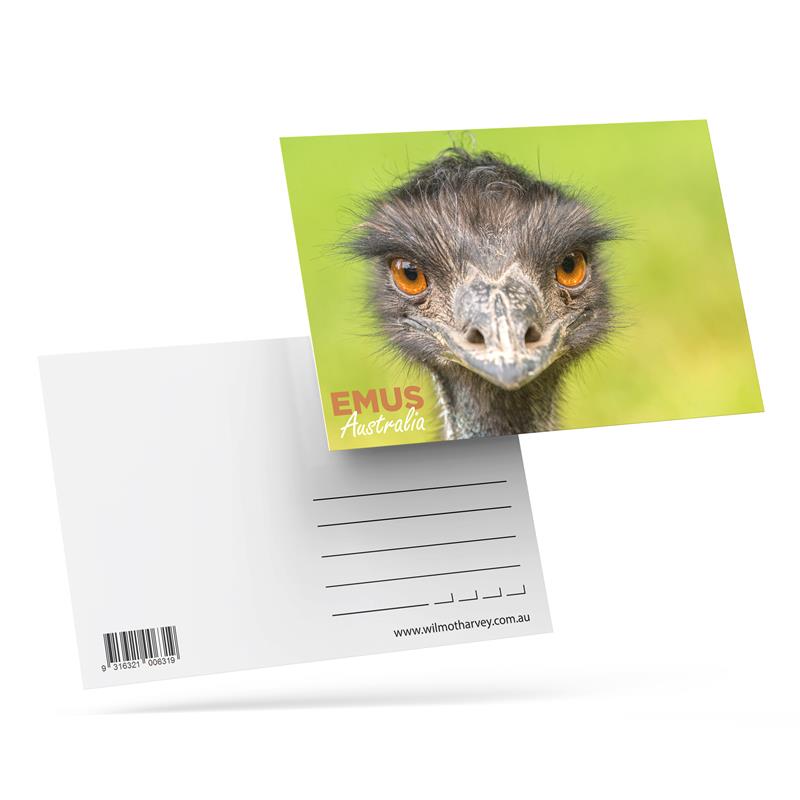 3D Postcard - Emu