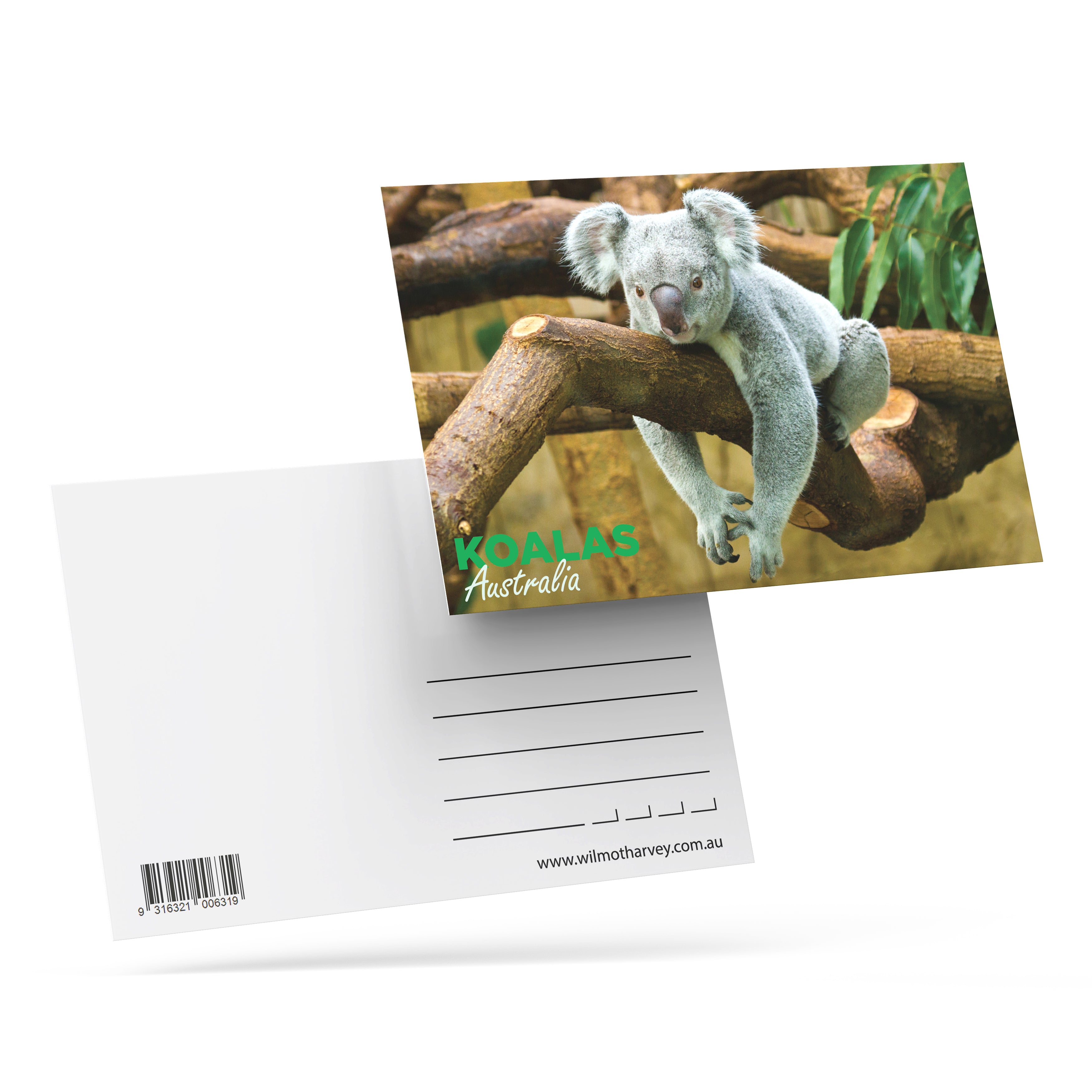 3D Postcard - Koala