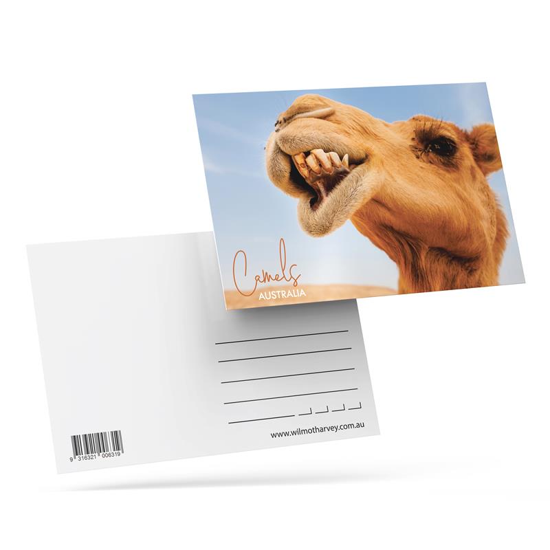 3D Postcard - Camel