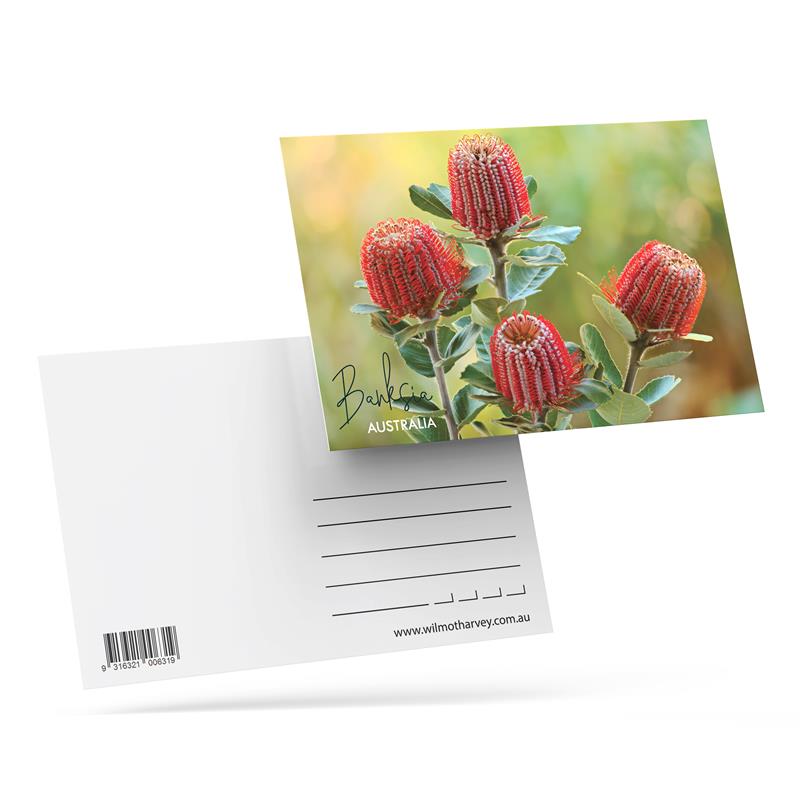 3D Postcard - Banksia