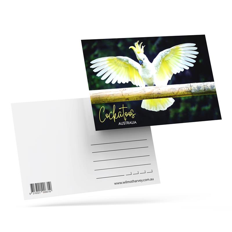 3D Postcard - Cockatoo