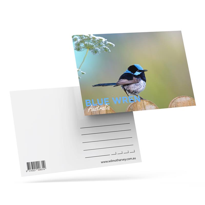 3D Postcard - Blue Wren