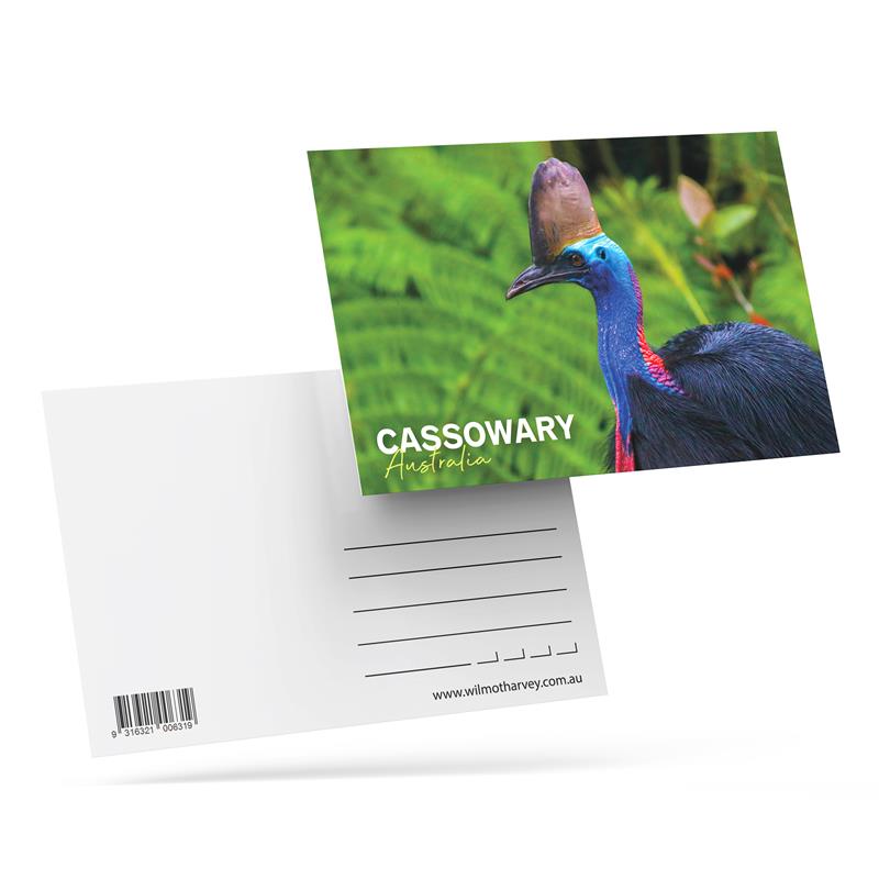 3D Postcard - Cassowary