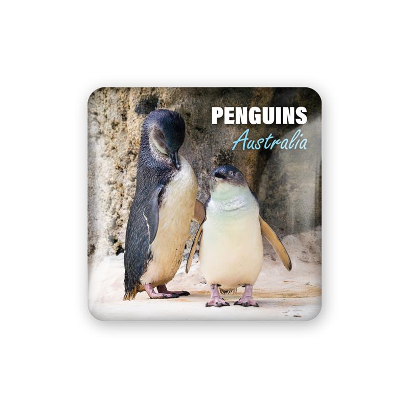 Acrylic Magnet - Penguins Square