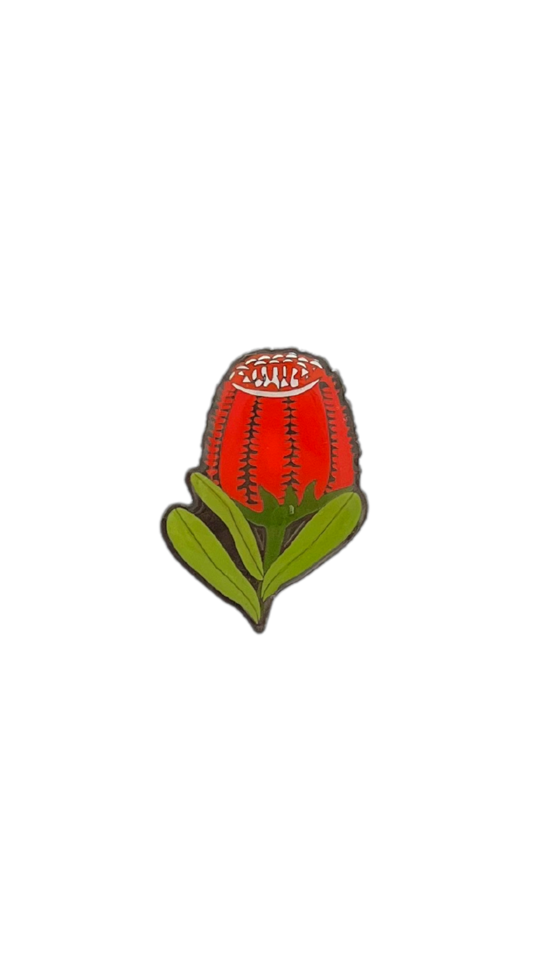 Hat Badge - Banksia - Wilmot Harvey