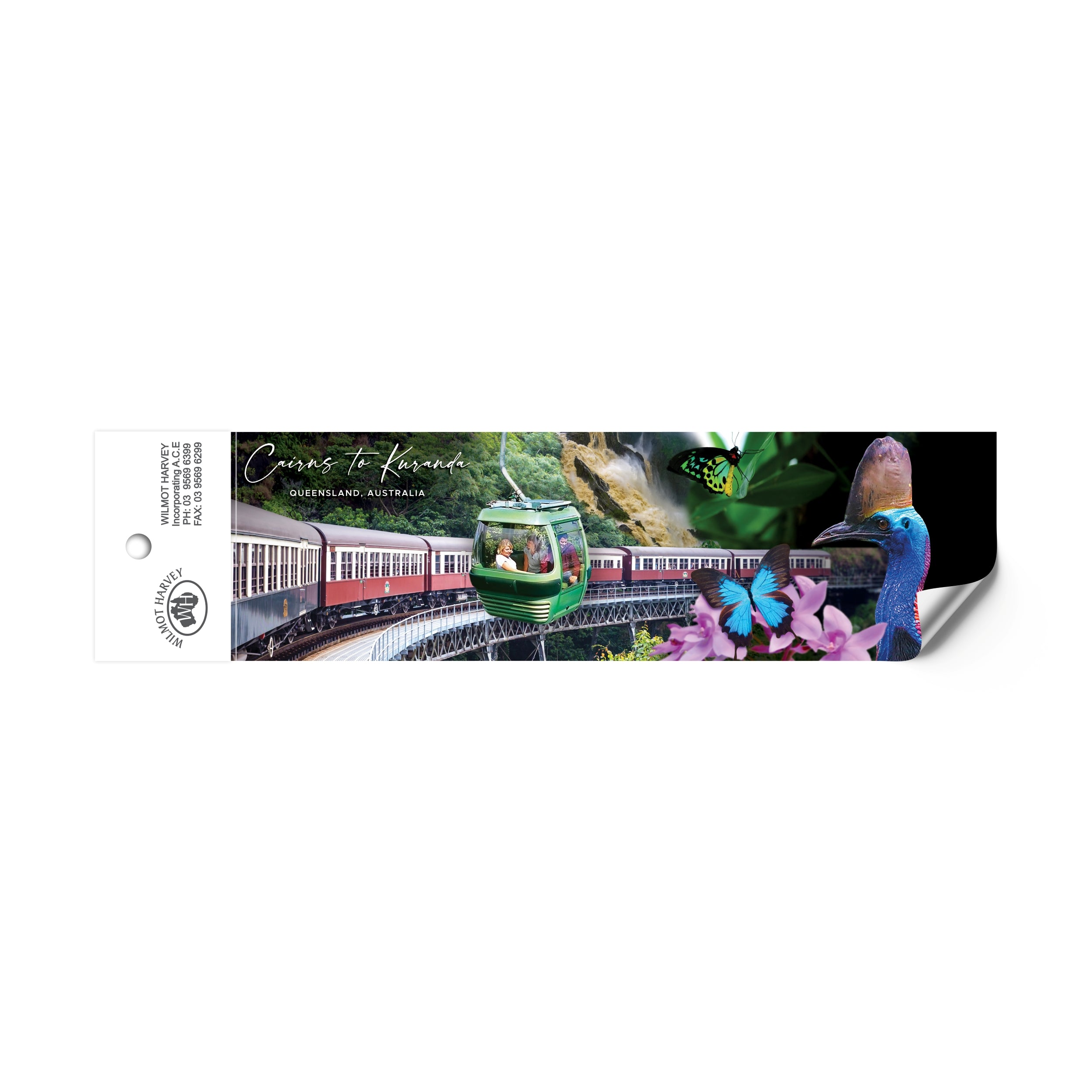 Sticker - Cairns to Kuranda Bumper