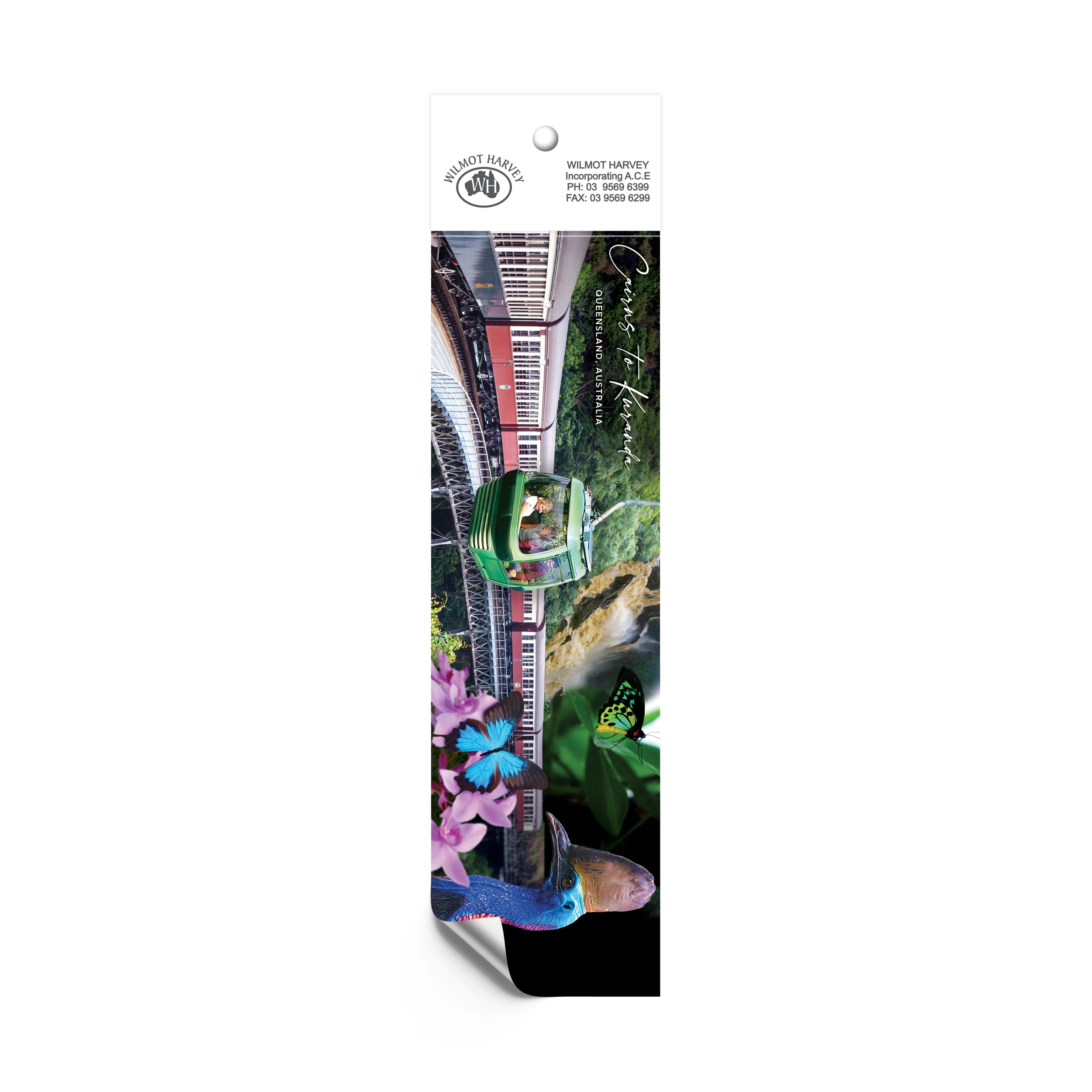 Sticker - Cairns to Kuranda Bumper
