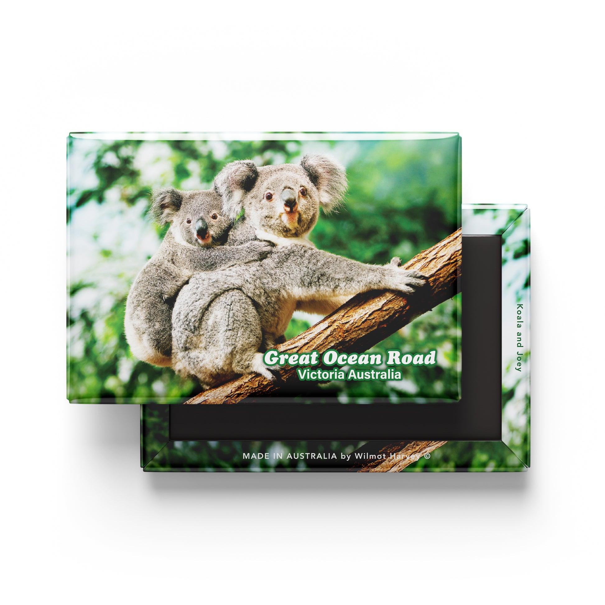 Tin Fridge Magnet - Great Ocean Road Koala - Wilmot Harvey