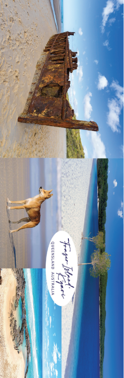 Sticker - Fraser Island K'Gari Bumper