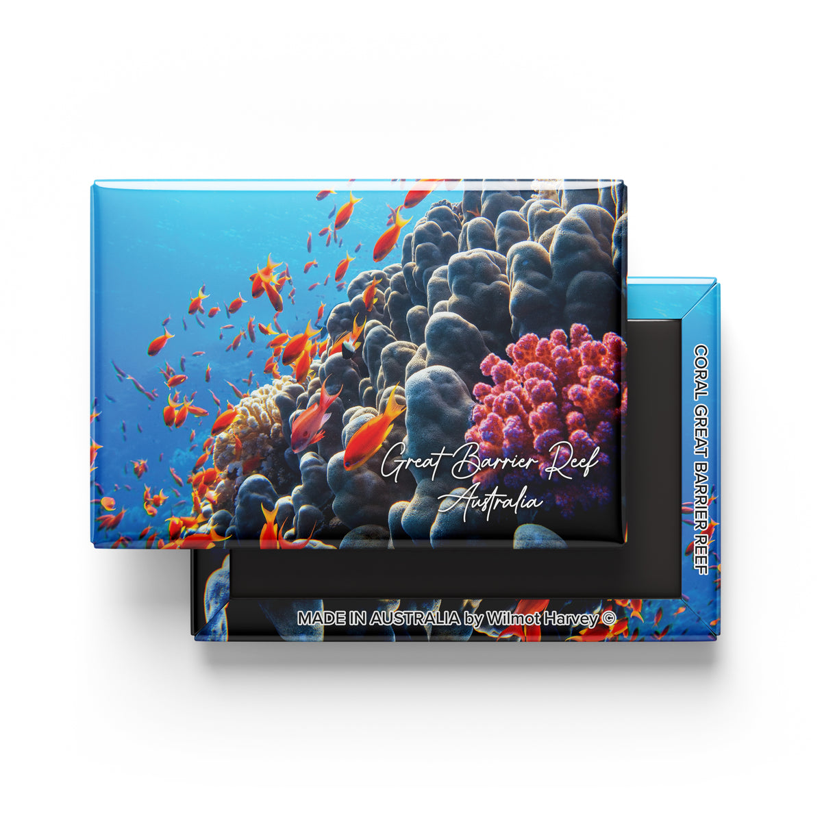 Tin Fridge Magnet - Coral Great Barrier Reef (Australian Made)