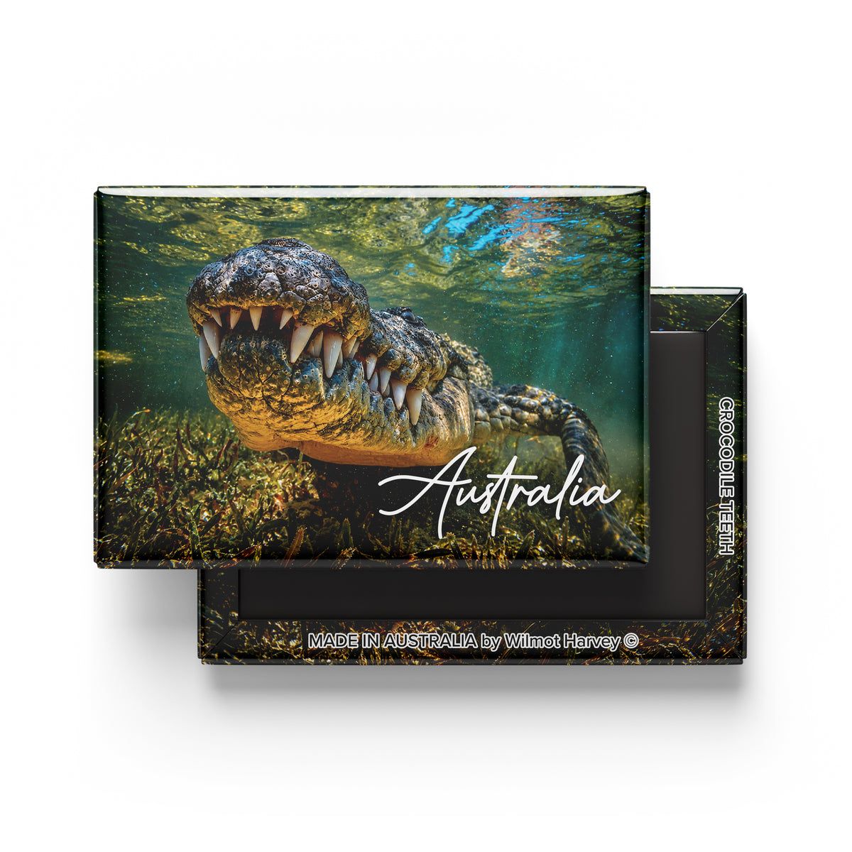Tin Fridge Magnet - Crocodile Teeth (Australian Made)