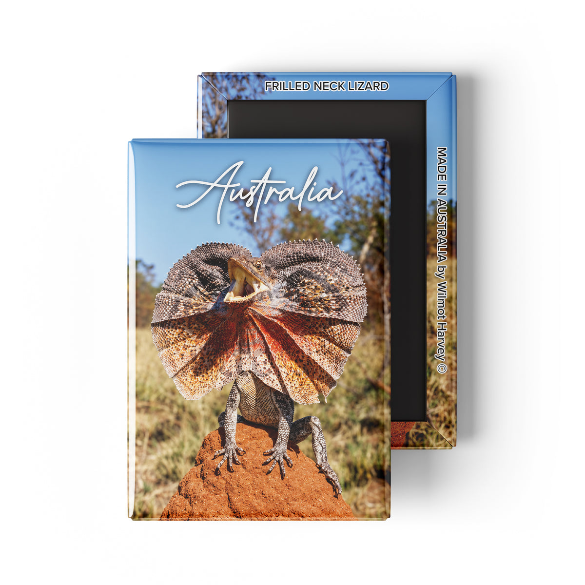 Tin Fridge Magnet - Frilled Neck Lizard (Australian Made)