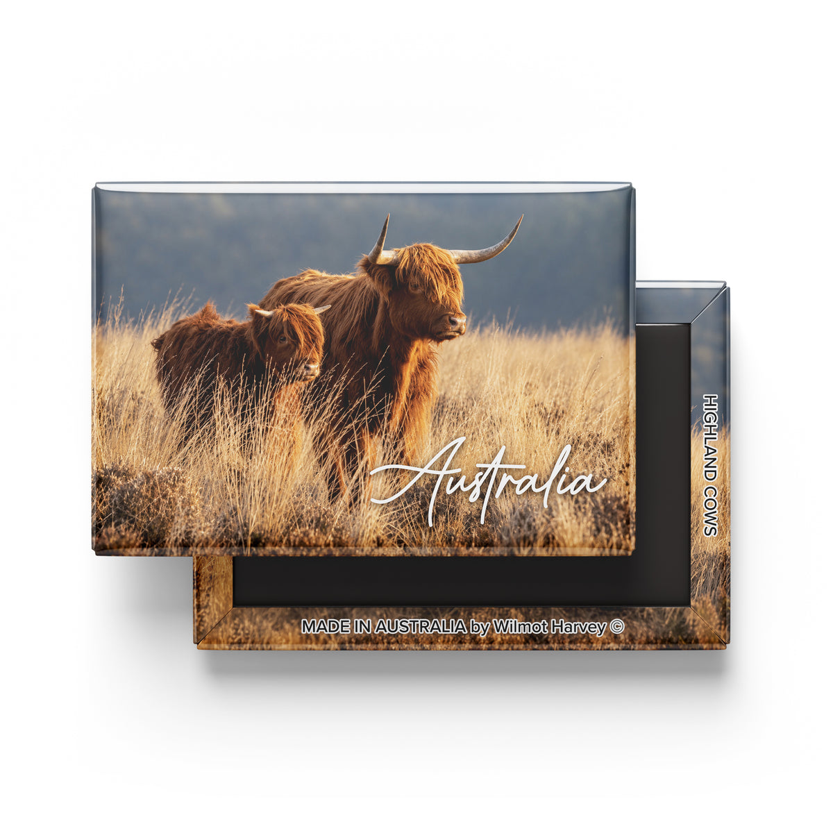 Tin Fridge Magnet - Highland Cows (Australian Made)