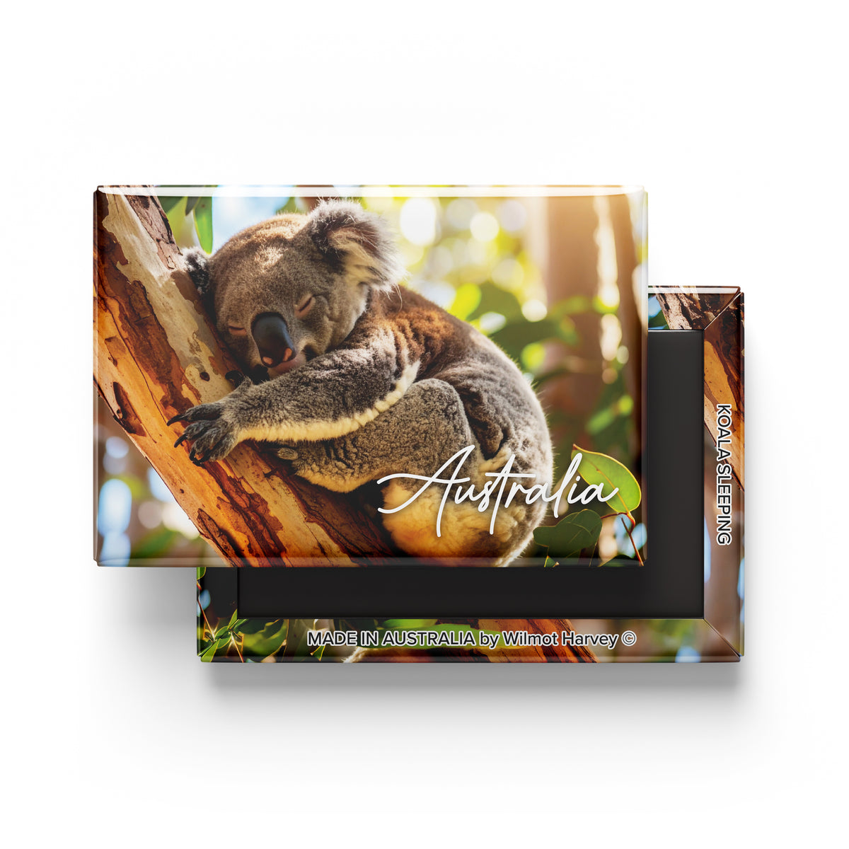 Tin Fridge Magnet - Koala Sleeping (Australian Made)