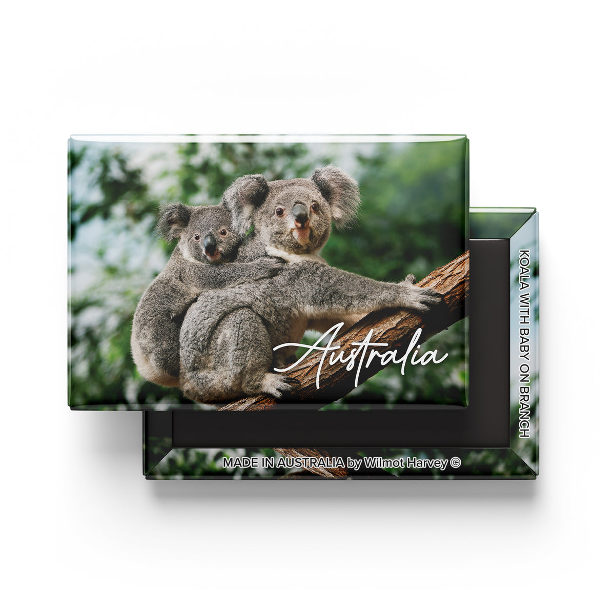Tin Fridge Magnet - Koala with Baby on Branch (Australian Made)