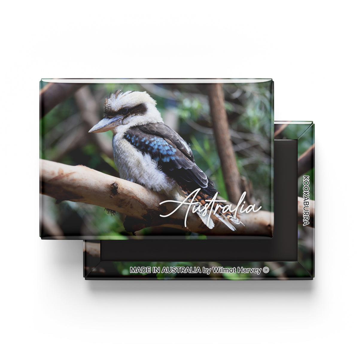 Tin Fridge Magnet - Kookaburra (Australian Made)