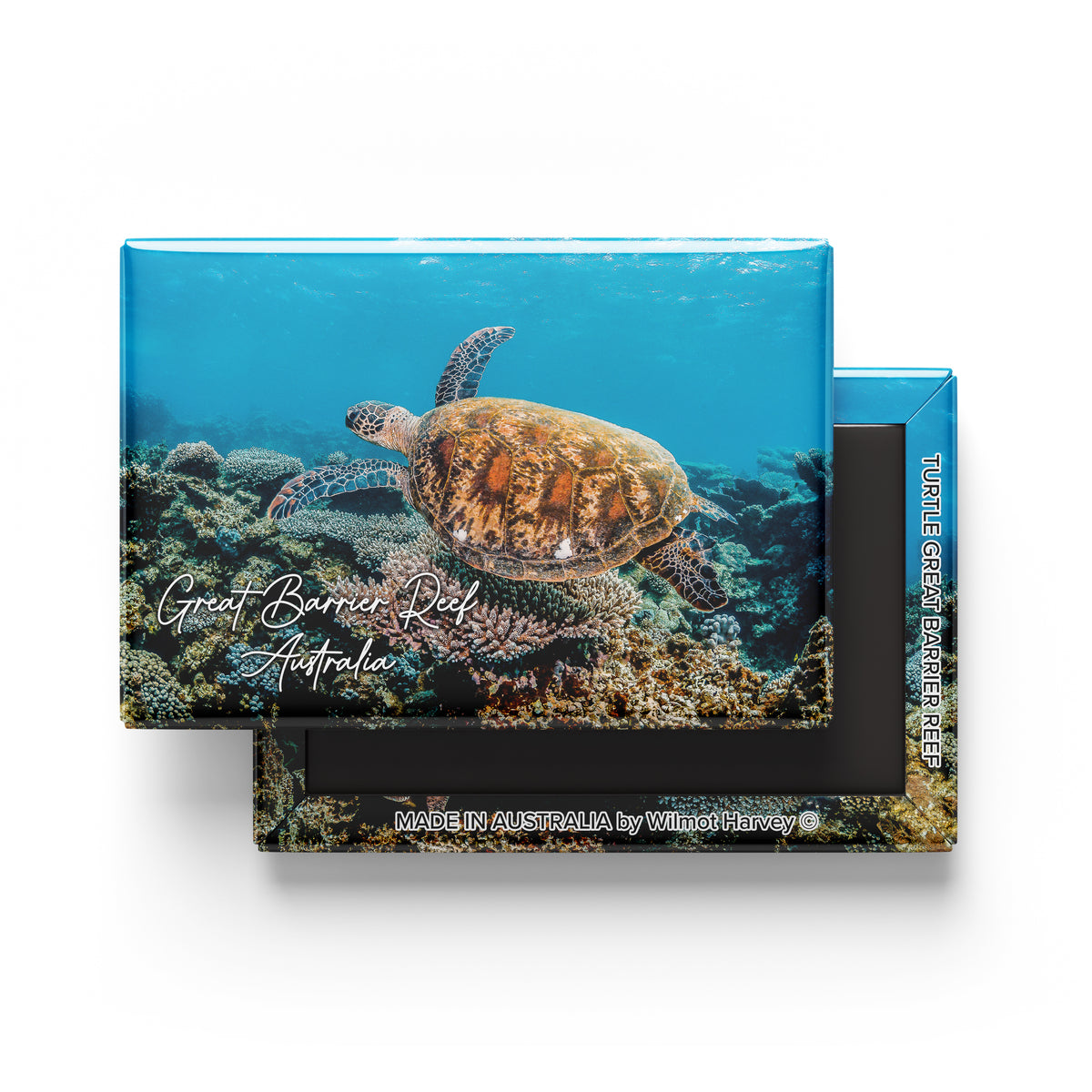 Tin Fridge Magnet - Turtle Great Barrier Reef (Australian Made)
