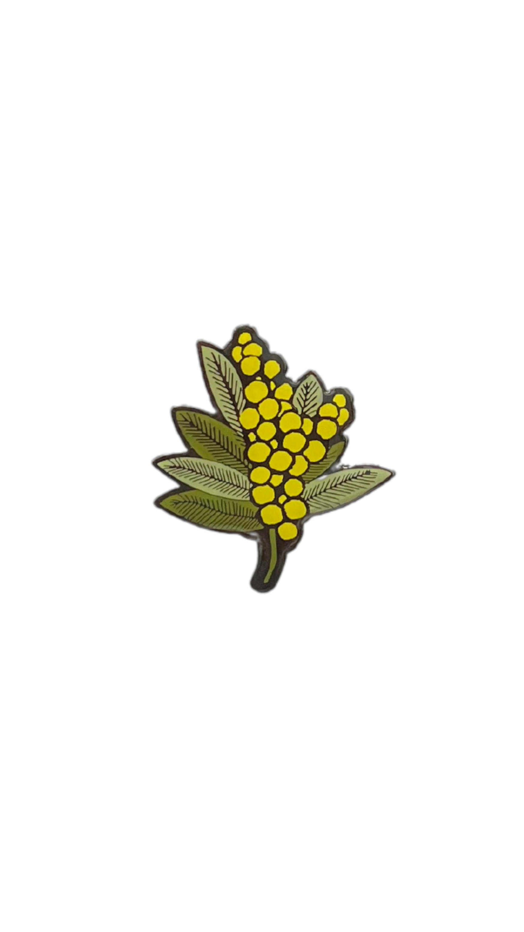 Hat Badge - Wattle - Wilmot Harvey