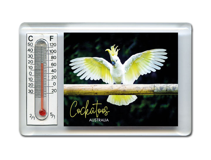 Thermometer Magnet - Cockatoo