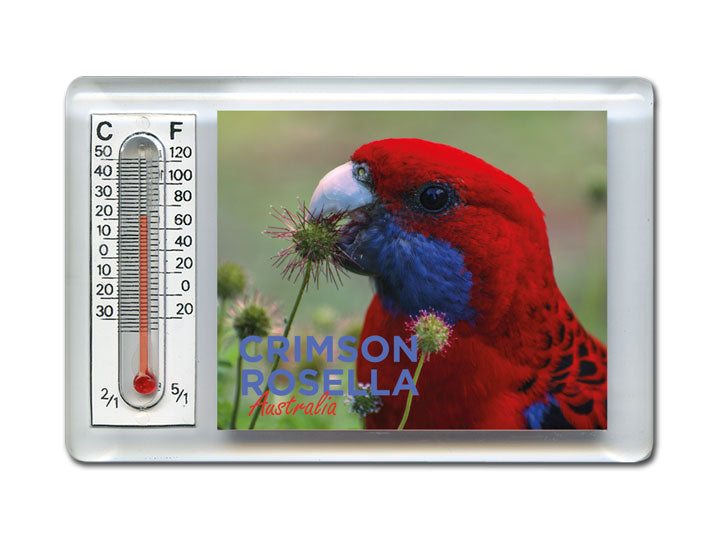 Thermometer Magnet - Crimson Rosella