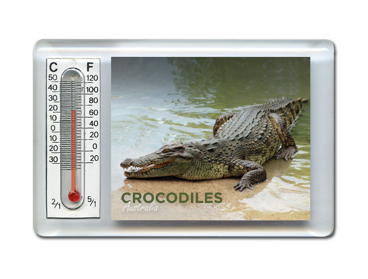 Thermometer Magnet - Crocodile