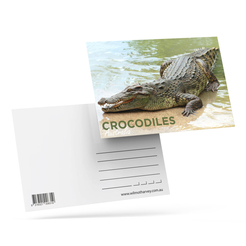 3D Postcard - Crocodile