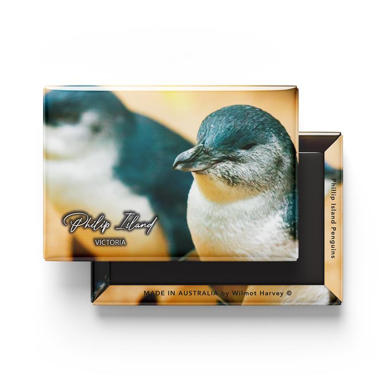 Tin Fridge Magnet - Phillip Island Penguins