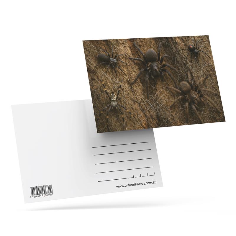 3D Postcard - Spiders