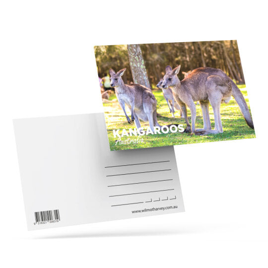 3D Postcard - Kangaroos