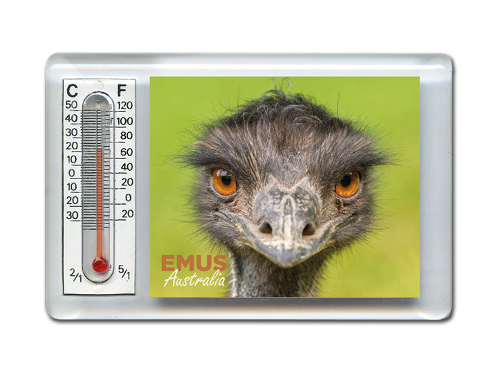 Thermometer Magnet - Emu
