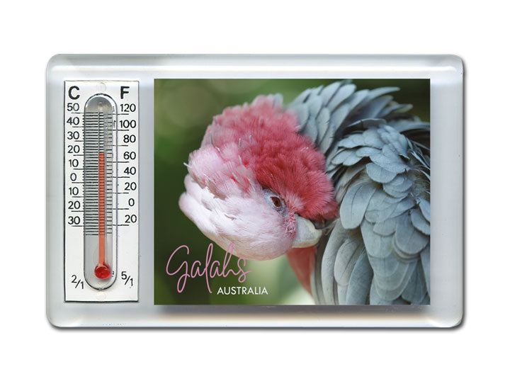 Thermometer Magnet - Galah