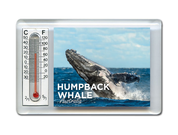 Thermometer Magnet - Humpback Whale