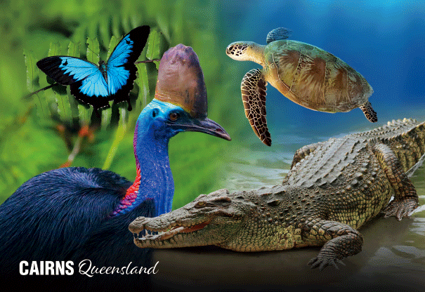 3D Postcard - Cairns