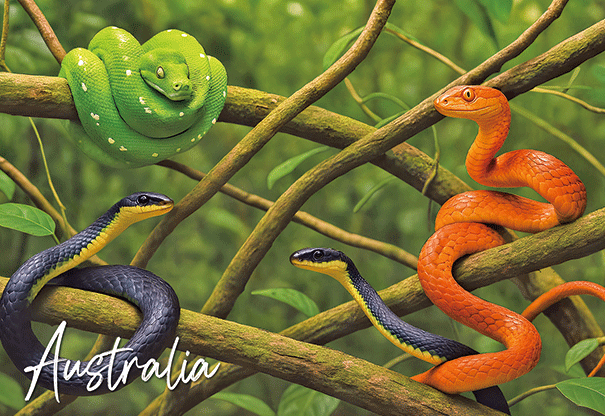 3D Postcard - Snakes Tropical
