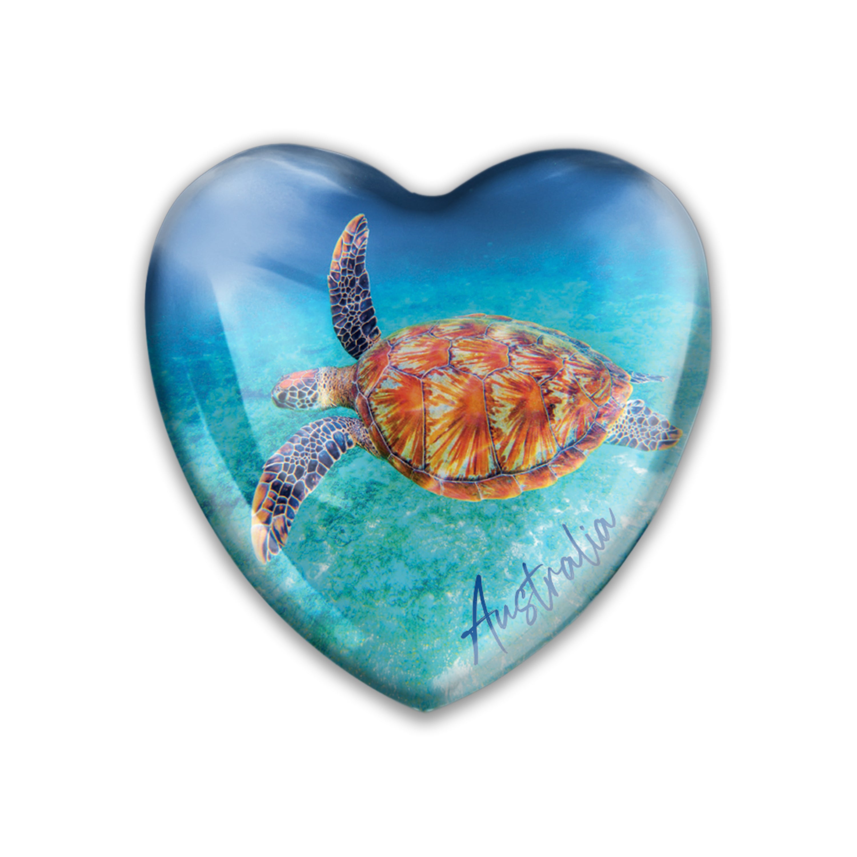 Acrylic Magnet - Turtle Heart - Wilmot Harvey