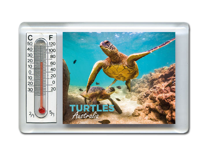 Thermometer Magnet - Turtle