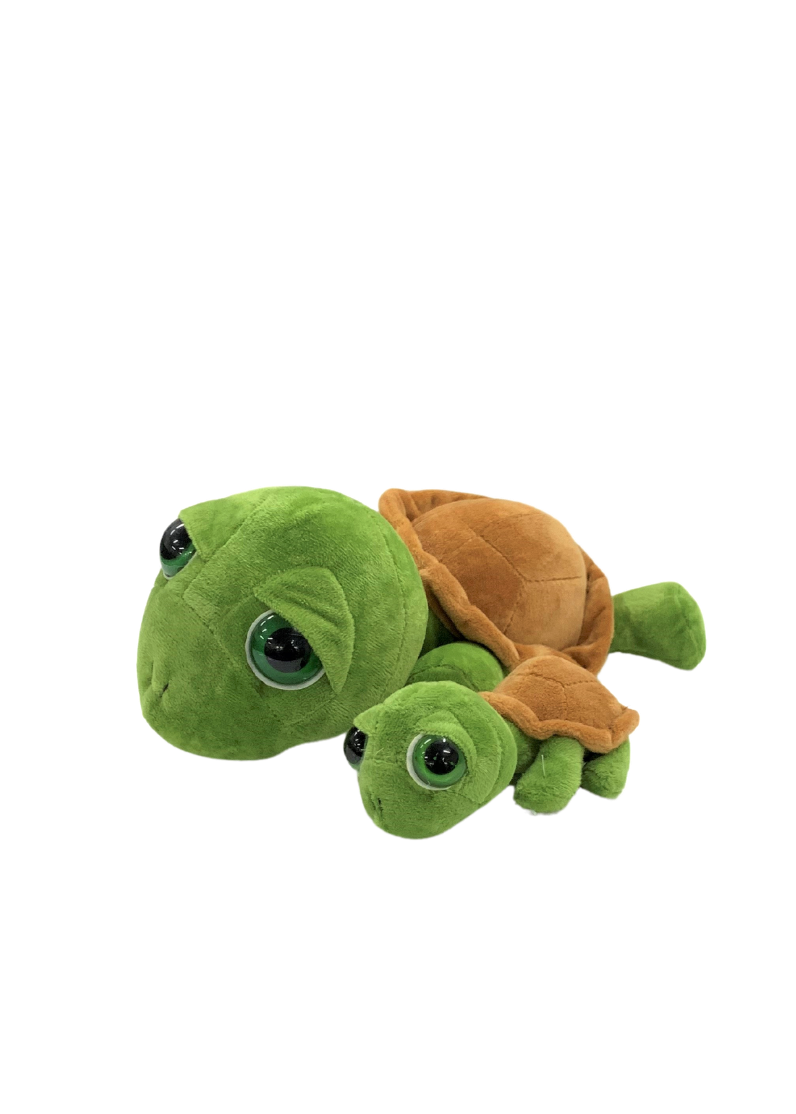 Plush Big Eye Baby Turtle - Wilmot Harvey
