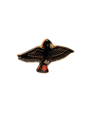 Black Cockie in flight Hat Badge - Wilmot Harvey Gifts & Souvenirs