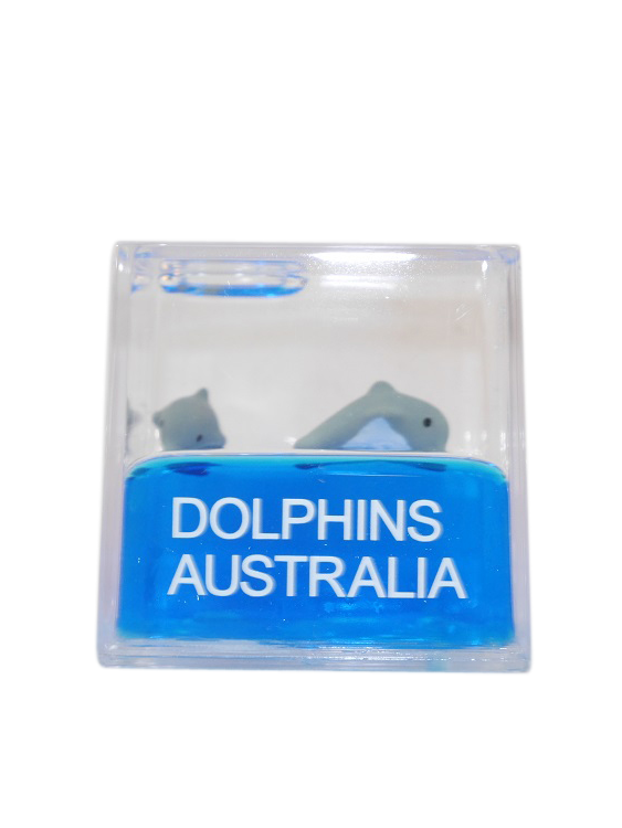 Dolphin Water Cube - Wilmot Harvey Gifts & Souvenirs