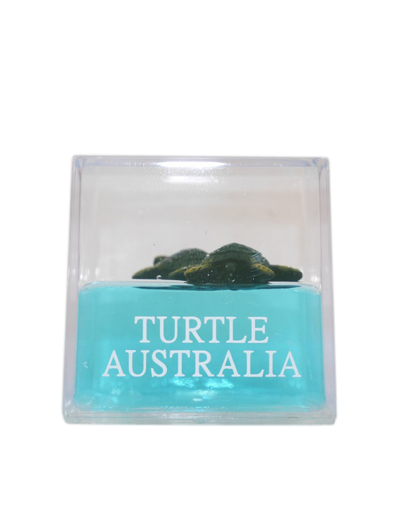 Turtles 2 Water Cube - Wilmot Harvey Gifts & Souvenirs
