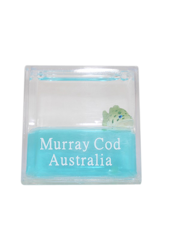 Murray Cod Water Cube - Wilmot Harvey Gifts & Souvenirs