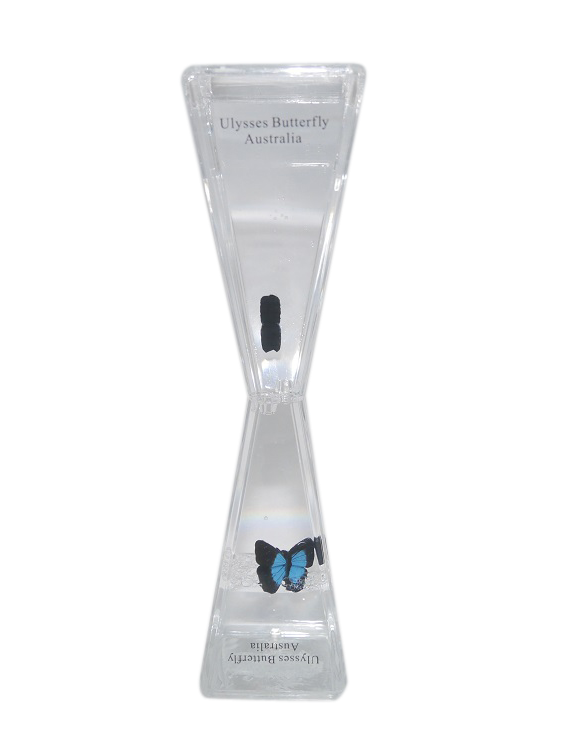 Ulysses Butterfly Liquid Timer - Wilmot Harvey Gifts & Souvenirs