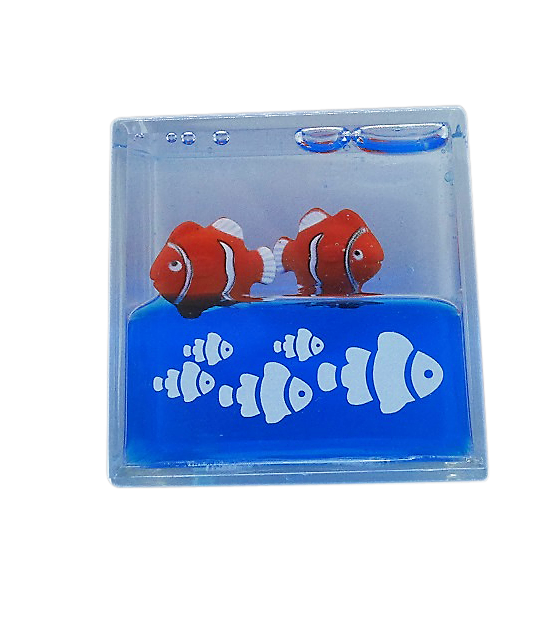 Nemo Fish Water Cube - Wilmot Harvey Gifts & Souvenirs