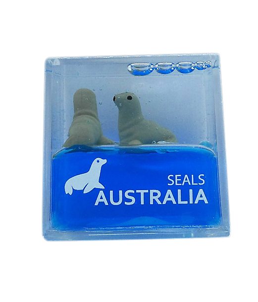 Seal Water Cube - Wilmot Harvey Gifts & Souvenirs